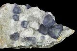 Purple Fluorite Crystals on Quartz - Fluorescent! #146664-2